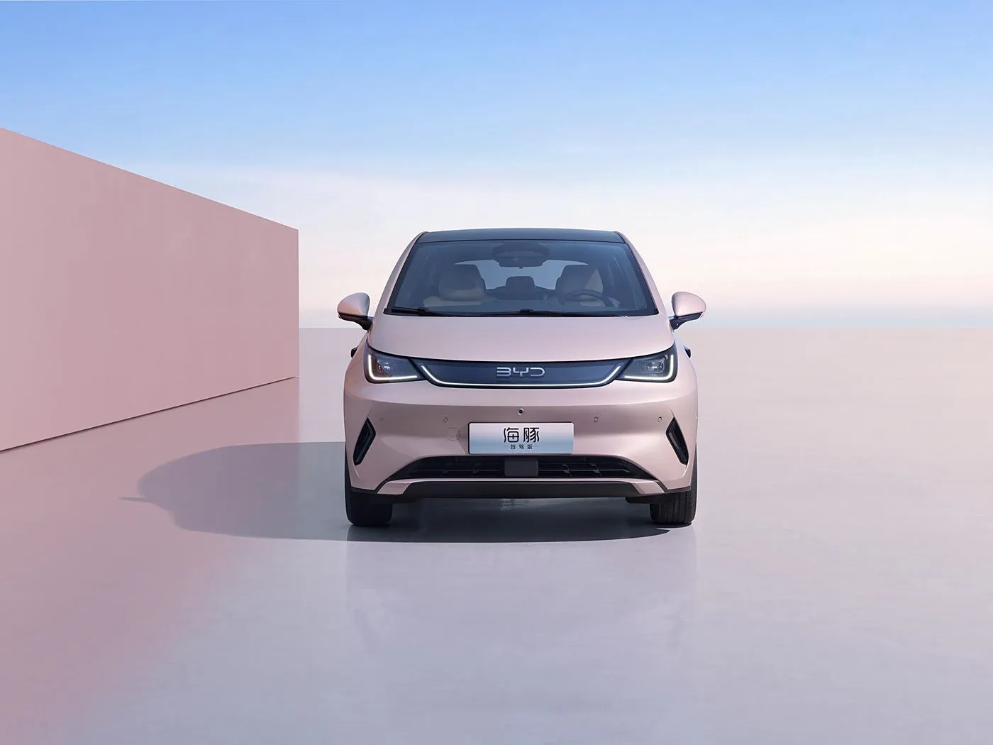 BYD ドルフィン アーバン スタイル ミニ電動ハッチバック ファッション エディション、スマート テクノロジー新エネルギー車搭載