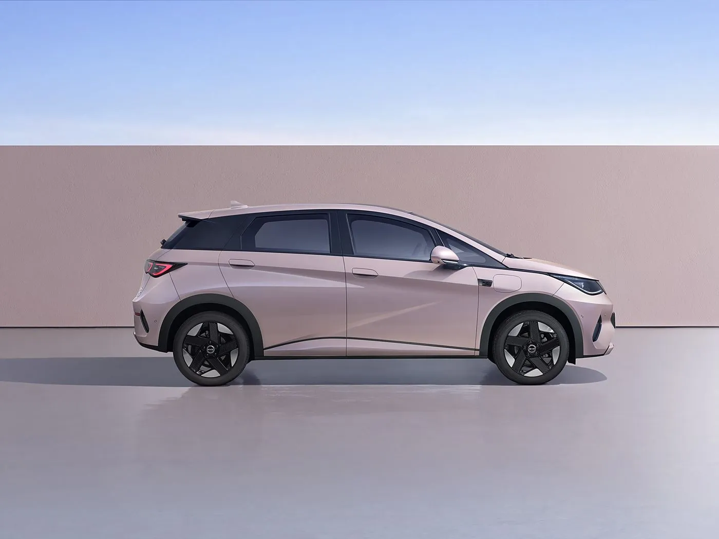 BYD ドルフィン アーバン スタイル ミニ電動ハッチバック ファッション エディション、スマート テクノロジー新エネルギー車搭載