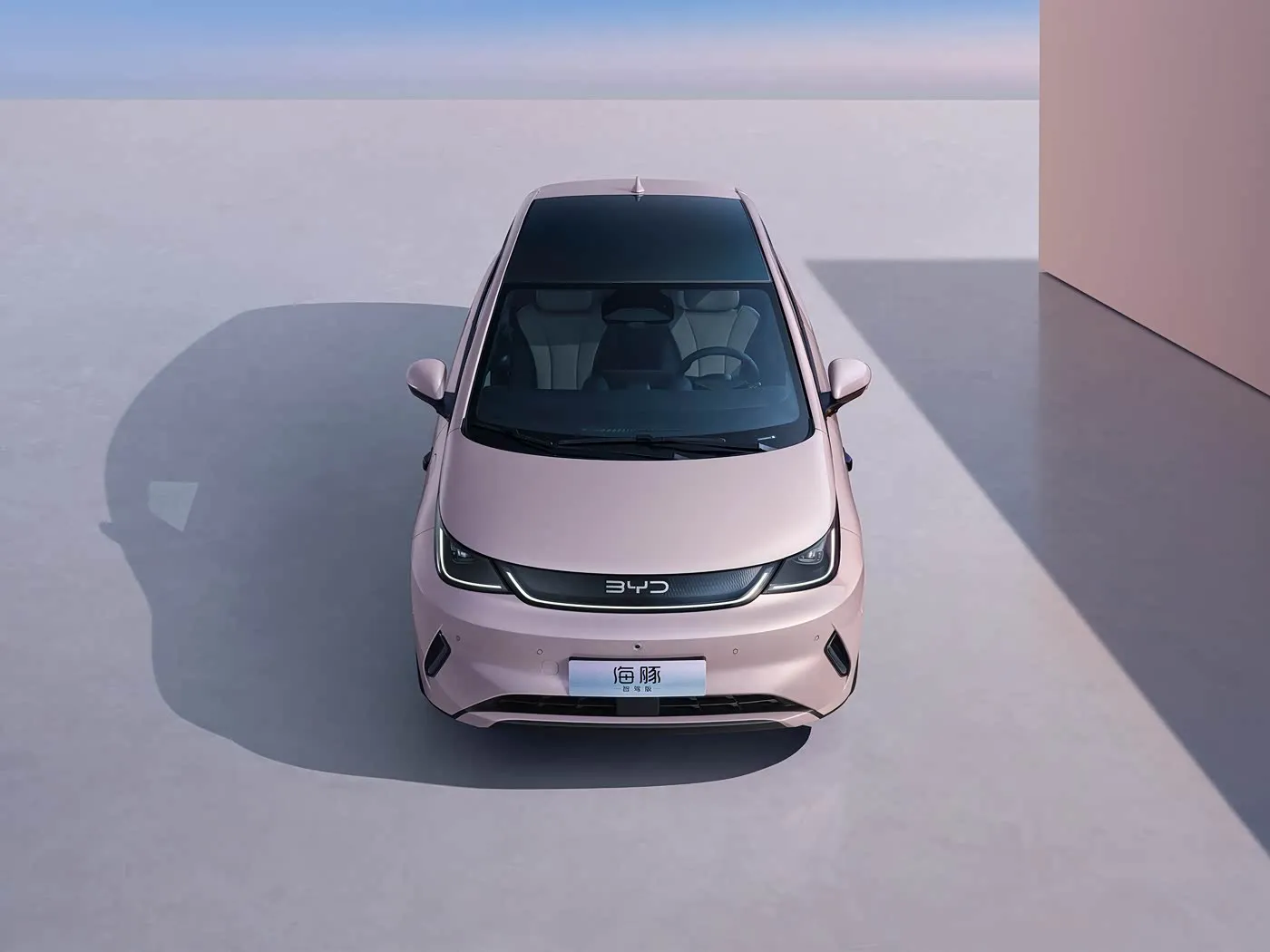 BYD ドルフィン アーバン スタイル ミニ電動ハッチバック ファッション エディション、スマート テクノロジー新エネルギー車搭載